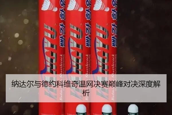 纳达尔与德约科维奇温网决赛巅峰对决深度解析